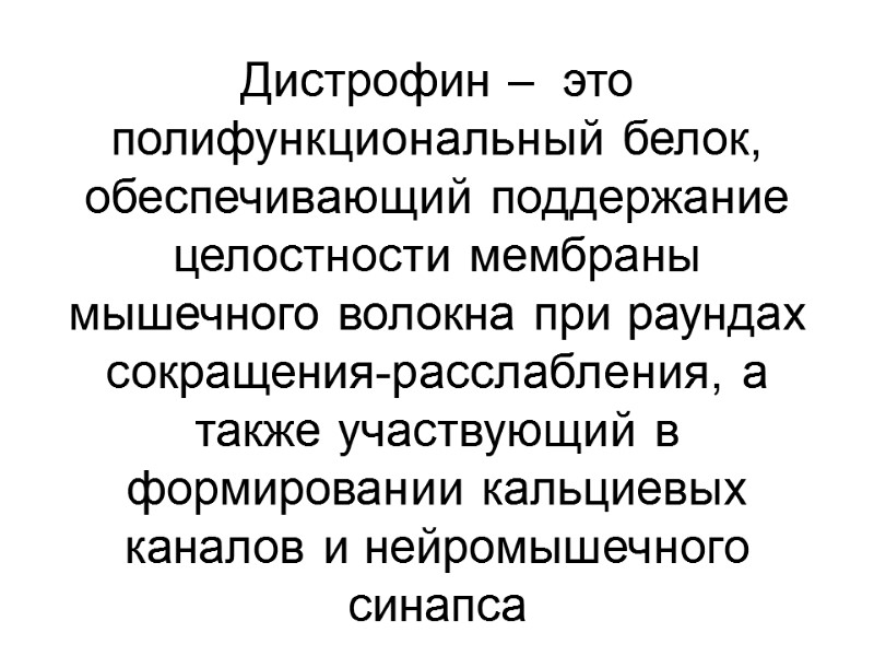 Дистрофин –  это полифункциональный белок, обеспечивающий поддержание целостности мембраны мышечного волокна при раундах
